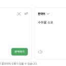 개노답 삼형제의 뉴욕 여행기 - 1.여행 계획 편.(에어프레미아/뉴왁공항/손더/뉴욕 패스/암트랙/esim 이심)