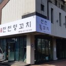 전천양꼬치