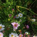 청송농원 이미지