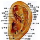 귀는 인체 축소판 귀를 지압해서 정신을 맑게 이미지