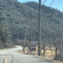 사천 가볼만한곳 편백림 애견동반 방문 후기