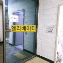 스타뽑스 네이버블로그