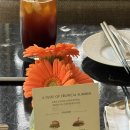 호텔 더 레드 | 현대카드 더 레드 바우처 사용 후기 / 대한항공 마일리지 적립으로 누리는 파라다이스 호텔 힐링