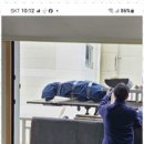 아리울익스프레스 이미지