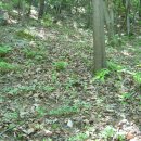 전원농장 이미지