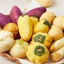 정남프라자 이미지