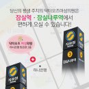 오즈산부인과 이미지