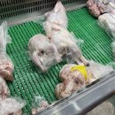 총각닭집 이미지