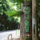 노을숲제주 이미지