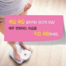 아리점핑체온다이어트
