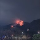대구 함박산 불 실시간 상황 이미지