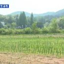 이재옥농장 파이낸셜뉴스