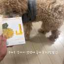 (주)코제트 | 코제트 강아지 영양제 “J”급여 후기