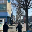 도미노피자춘천석사점 네이버블로그