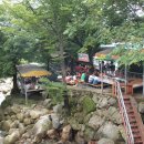 팽나무 민박 이미지