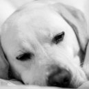 안국한의원 이미지