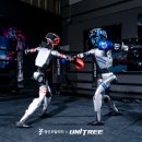 복싱아레나 이미지