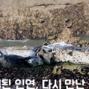 연평여행사