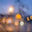 주사랑약국 이미지