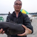 k3바다낚시터 이미지