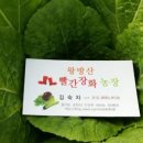 장화농장 네이버블로그