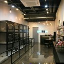 도그반하다 이미지