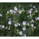 아바호텔 이미지