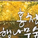선우회관 이미지
