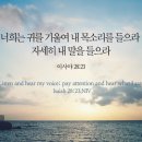 디자인하라 이미지