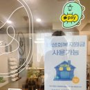 파라 에스테틱 이미지