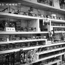 시우네 안경가게 이미지