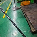 세피아 | 루어킬러 세피아 782M 에깅대 실사용후기