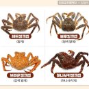 진주네맛집 이미지