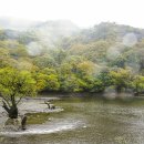 청송 주산지 절골 백석탄 출사 이미지