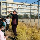 교동정미소 이미지