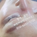 더(the)예쁜속눈썹