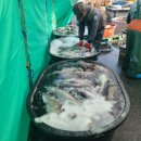 남해수산 16-1 이미지