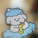 멍뭉이샵 이미지