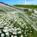 범어로타리약국 이미지