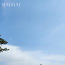 키키리키