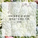 모아한의원 이미지