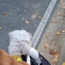 호두베이크샵