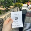 순천만국가정원 | 순천 가볼만한곳 순천만국가정원 봄꽃 나들이 후기(주차장, 가격 등)