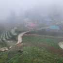 몽 village 이미지