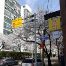 정림서로 이미지