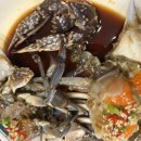 다연 정식 이미지