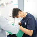 뉴욕메디슨치과의원 네이버블로그