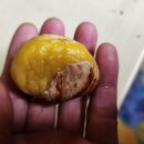 시몬농장 이미지