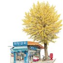 정동상회 이미지
