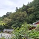 선문염송설화 이미지